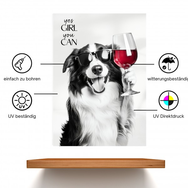 SchildYouCan_BorderCollie2