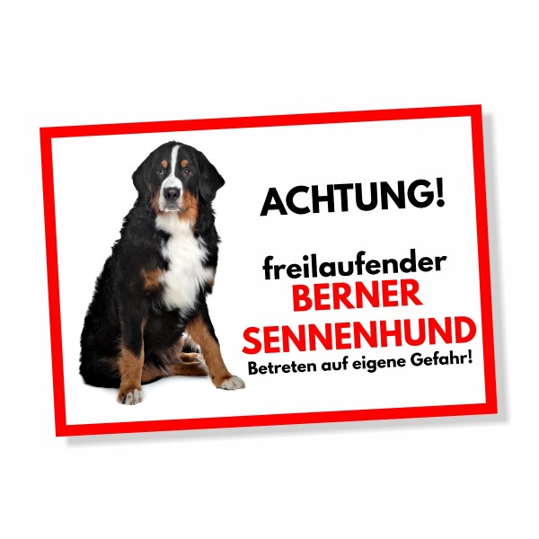 SchildFrei_BernerSennenhund