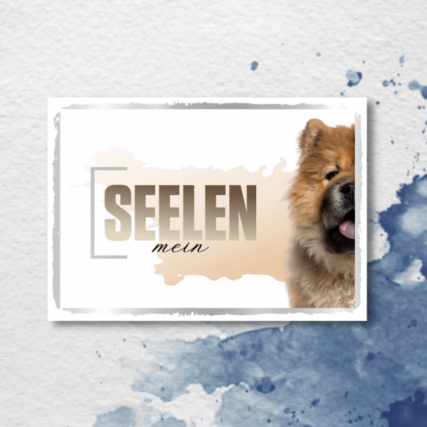 SeeleD_ChowChow2