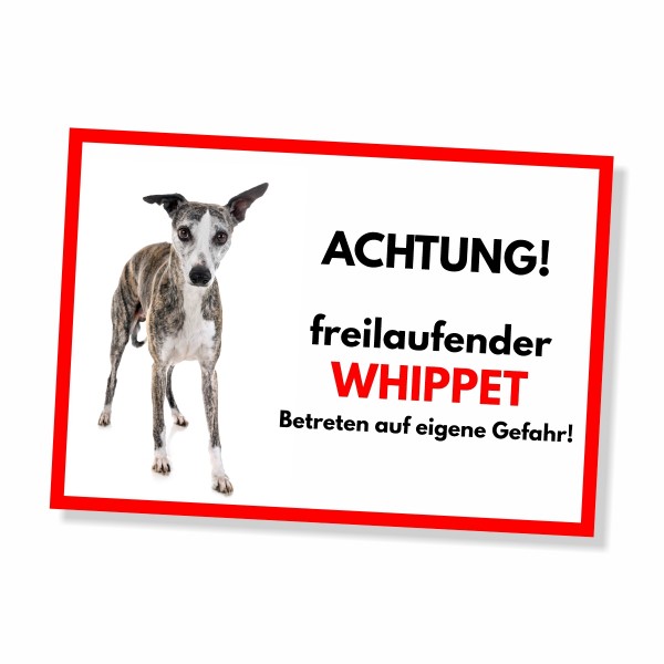 SchildFrei_Whippet