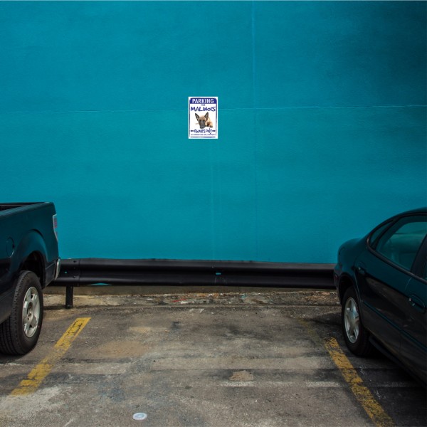 SchildParkenMalinois2