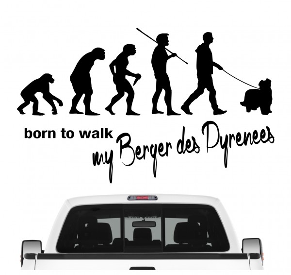 Berger des Pyrenees Petit Berger Pyr Shep Pyrenäen-Schäferhund Evolution Born to Walk Hunde Aufkleber Sticker Autoaufkleber Wandtattoo Tattoo