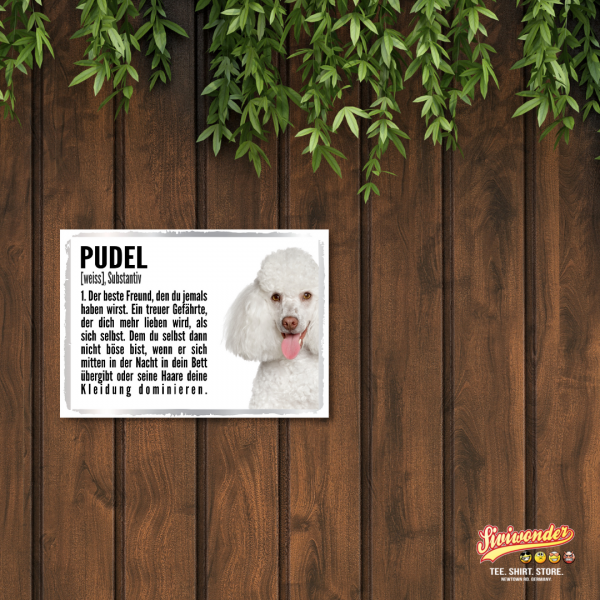 Duden_PudelW2