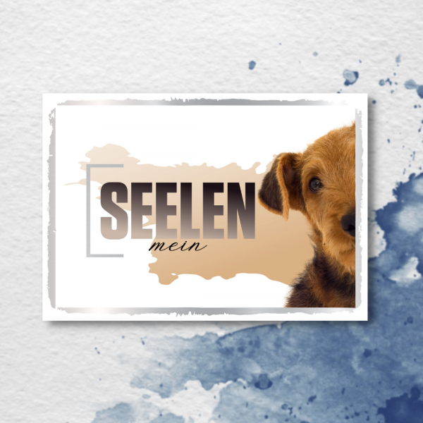 SeeleD_Airedale2
