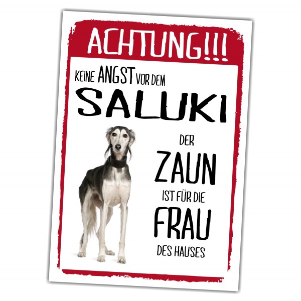Saluki Dog Schild Achtung Zaun Frau Spruch Türschild Hundeschild Warnschild Fun
