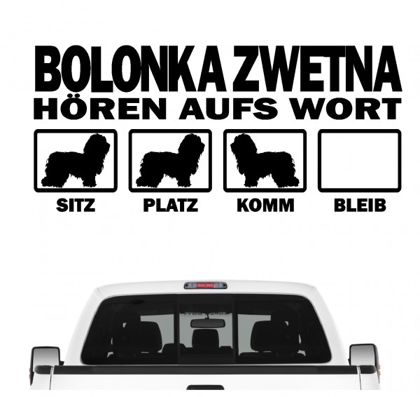 Bolonka Zwetna Tsvetnaya Russischer Hund Dog Hört aufs Wort Hunde Aufkleber Sticker Autoaufkleber