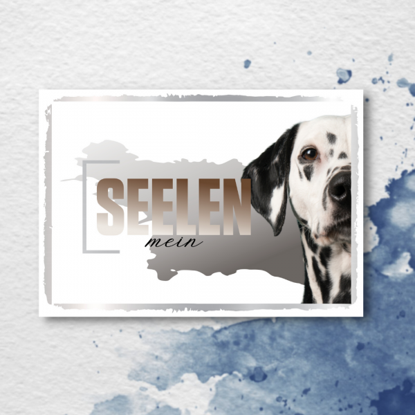SeeleD_Dalmatiner2