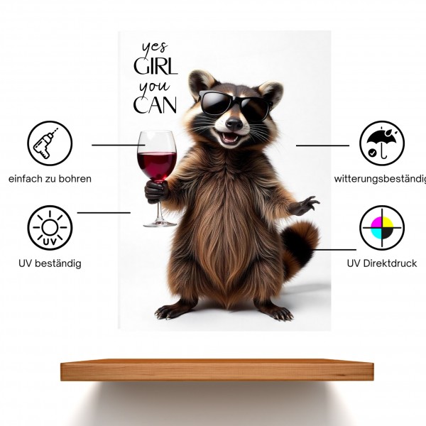 SchildYouCan_Waschbaer2