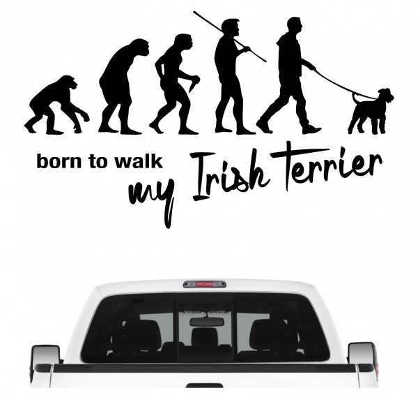 Irish Terrier roter Teufel der rote Ire Evolution Born to Walk Hunde Aufkleber Sticker Autoaufkleber Wandtattoo Tattoo