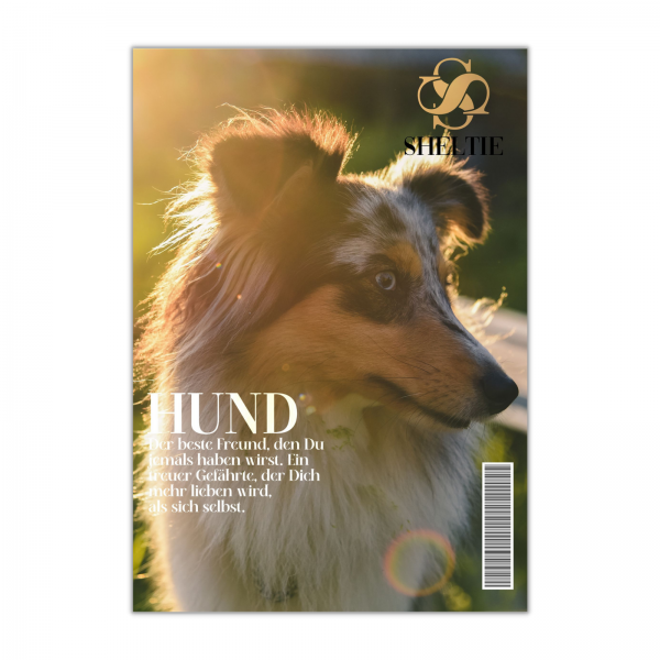 SchildMagazin_Sheltie1