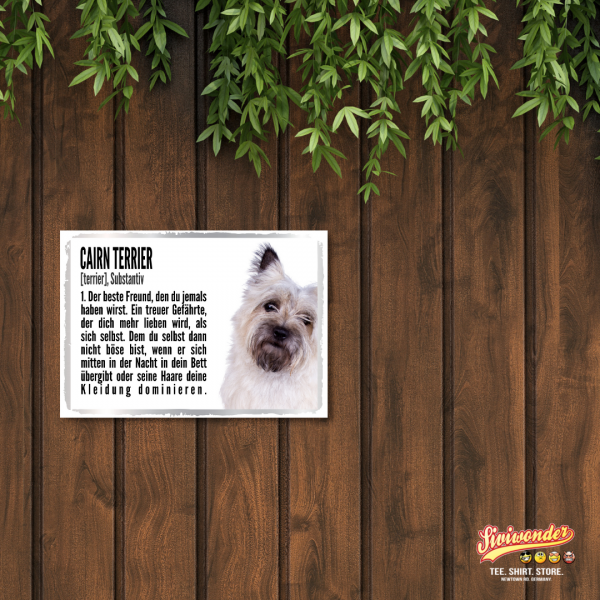 Duden_CairnTerrier2