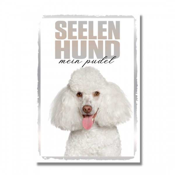SeeleR_PudelW1