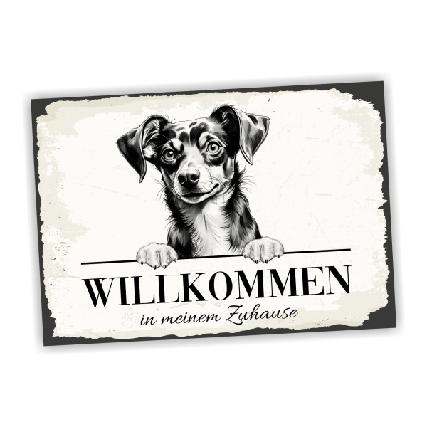 Hundeschild Willkommen Zuhause Chiweenie Schild Achtung Spruch
