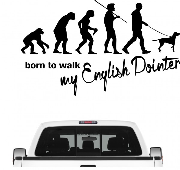 English Pointer Vorstehhund Jagdhund Evolution Born to Walk Hunde Aufkleber Sticker Autoaufkleber Wandtattoo Tattoo