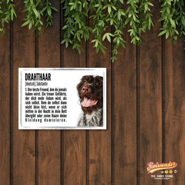 Duden_DeutDrahthaar2