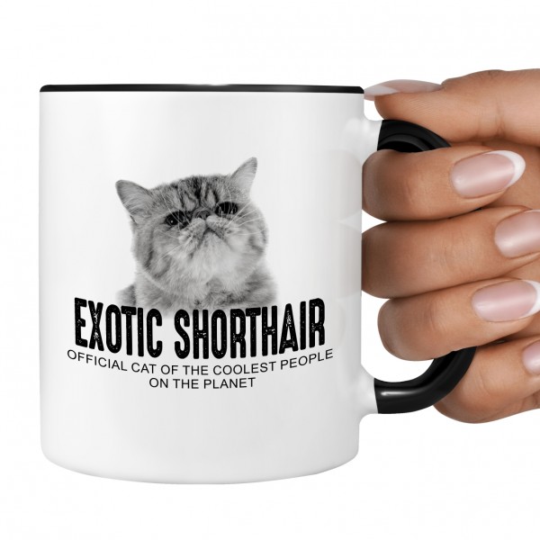 Exotic Shorthair USA Katze Official Cat cool Tasse Kaffee lustig Kaffeebecher Design