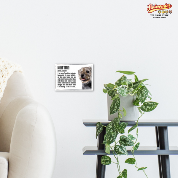 Duden_BorderTerrier3