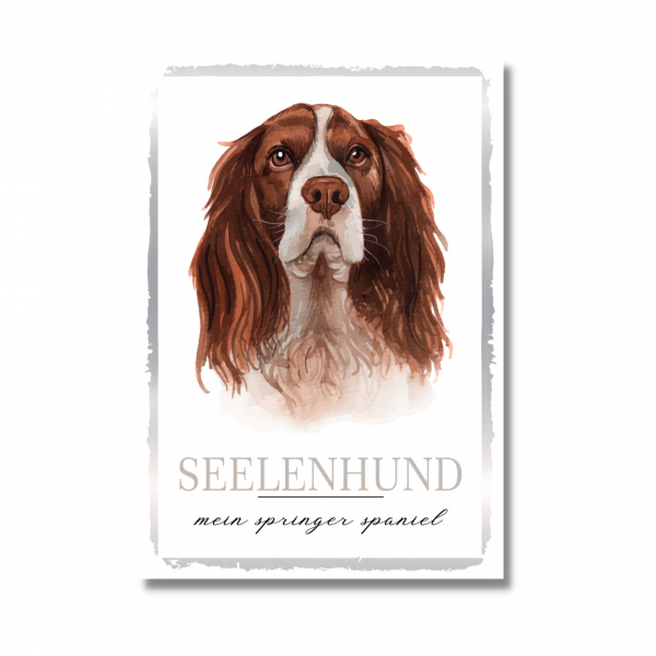 SeeleW_SpringerSpaniel1