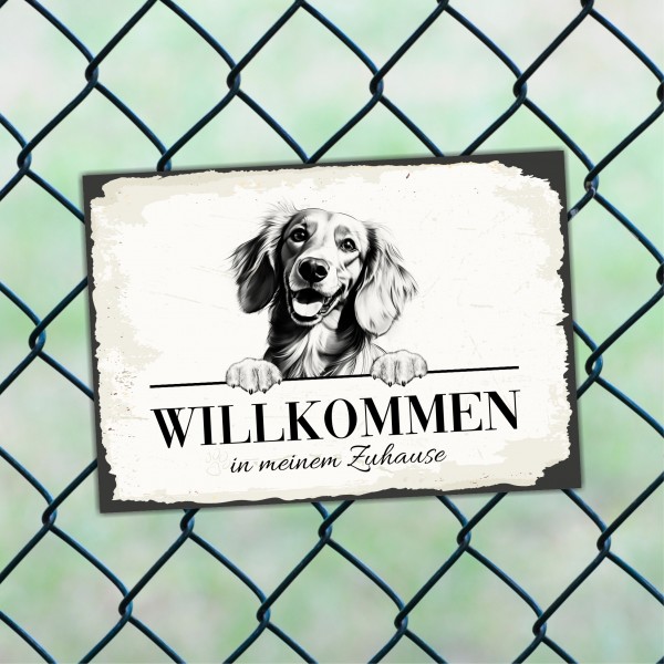 SchildWillk_Dackel2c