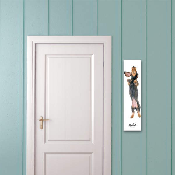 SchildFlyHigh_Rauhaarda607031bac9089