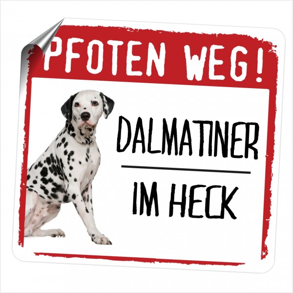A_DALMATINER_PFOTEN_WEG