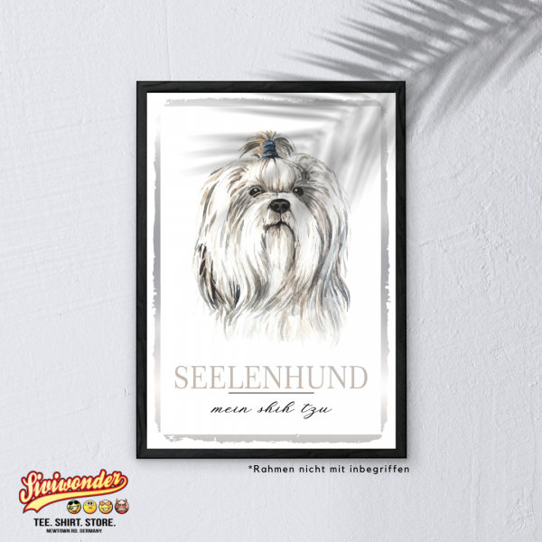 SeeleW_ShihTzu3
