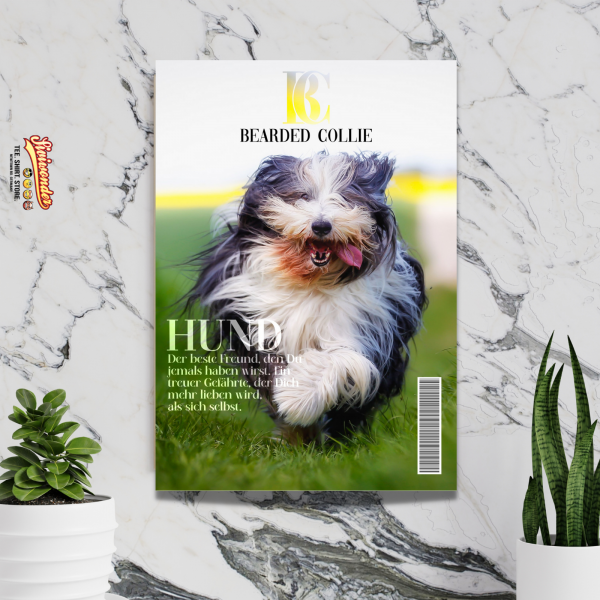 SchildMagazin_BeardedCollie2