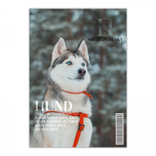 SchildMagazin_Husky1