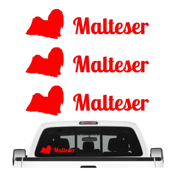 Malteser Maltese Dog Bichon Malteser Malta Dog 3er Set AUTOAUFKLEBER Aufkleber Hunde Hundemotiv by SIVIWONDER