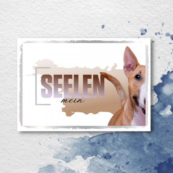 SeeleD_MiniBullterrier2