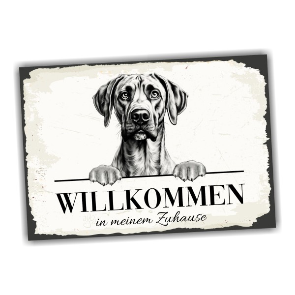 SchildWillkPlottHound1a