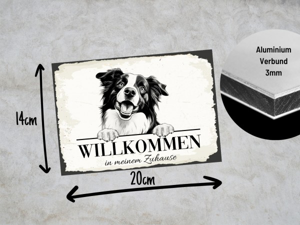 Hundeschild Willkommen Zuhause Border Collie Schild
