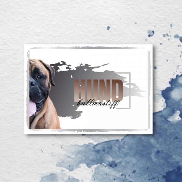 SeeleD_Bullmastiff3