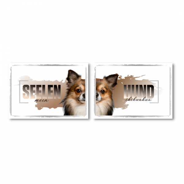 SeeleD_Chihuahua2_1