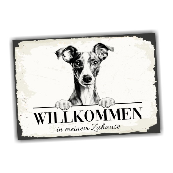Hundeschild Willkommen Zuhause Italienisches Windspiel Schild