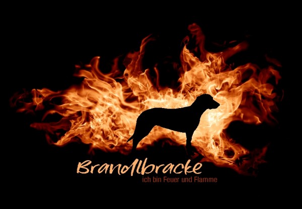 UTFlamme_BrandlbrackeMo