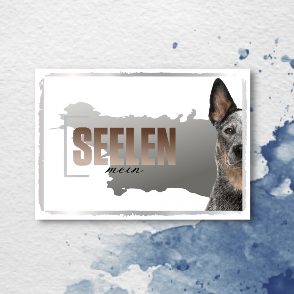 SeeleD_CattleDog2
