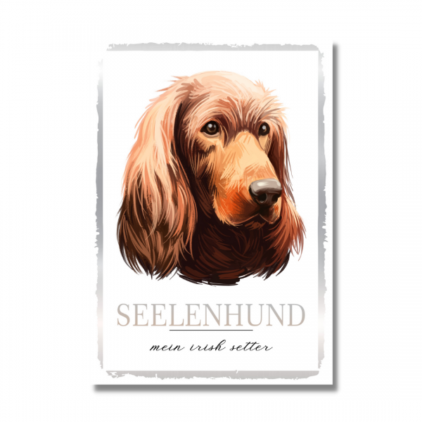 SeeleW_IrishSetter1