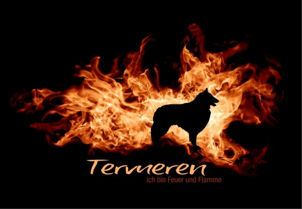 UTFlamme_TervuerenMo