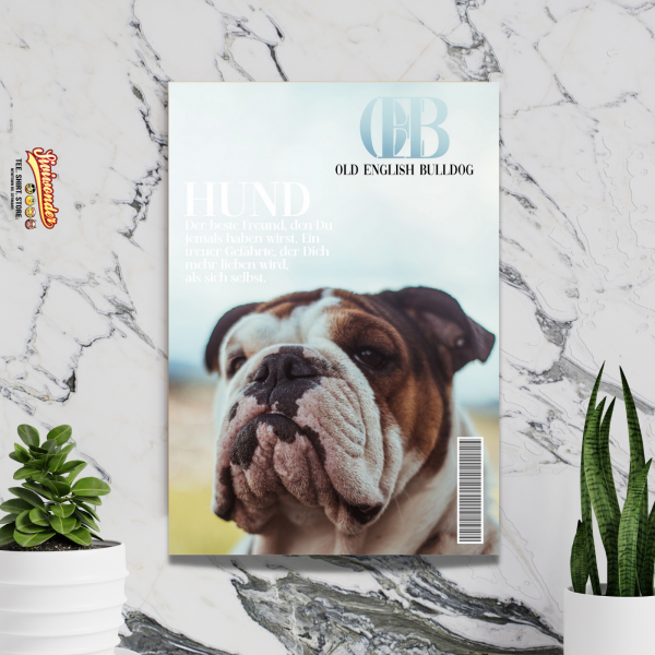 SchildMagazin_OldEnglishBulldog2