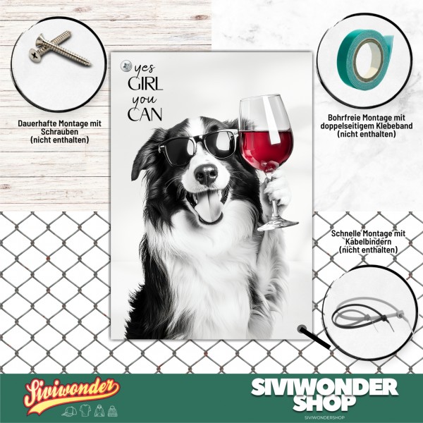 SchildYouCan_BorderCollie4