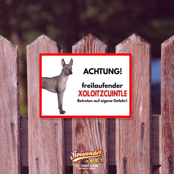 SchildFrei_Xoloitzcuintle2