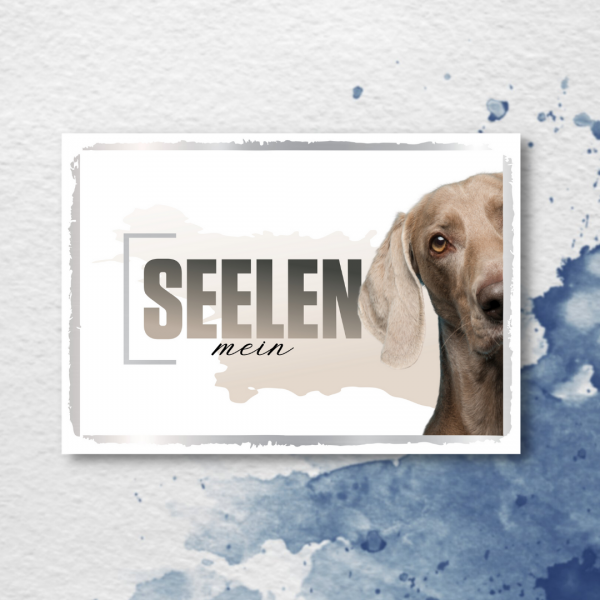 SeeleD_Weimaraner2