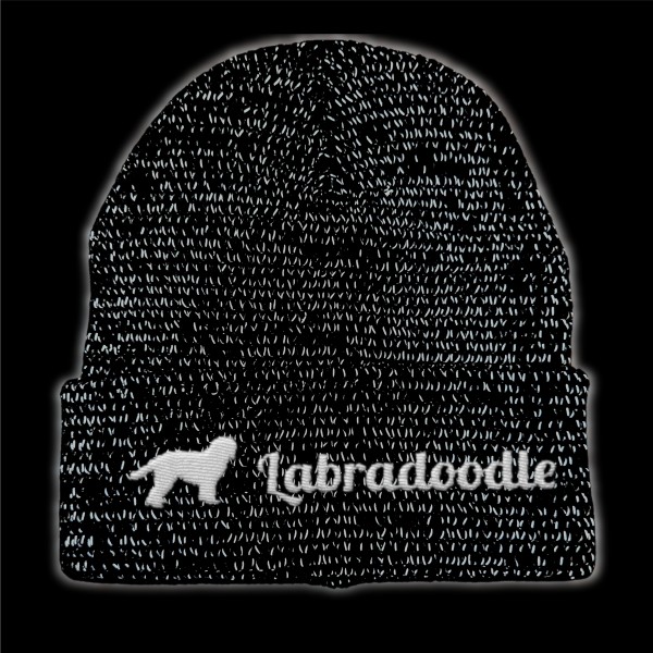 RefBeane_Labradoodle2