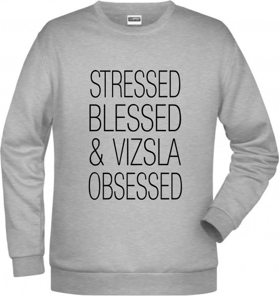 P_Stress_VizslaSG