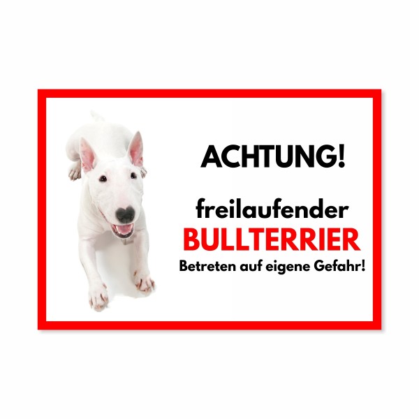SchildFrei_BullterrierWeiss