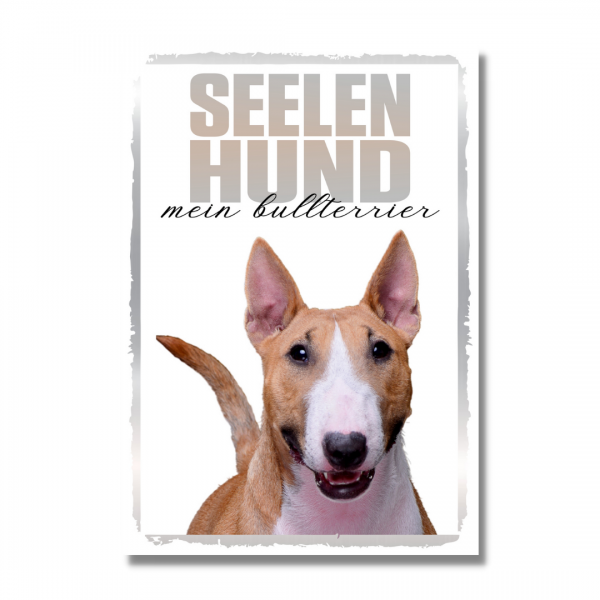 SeeleR_MiniBullterrier1