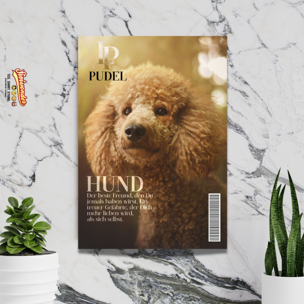 SchildMagazin_PudelGold2