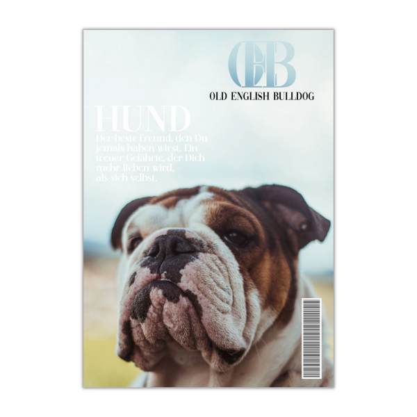 SchildMagazin_OldEnglishBulldog1