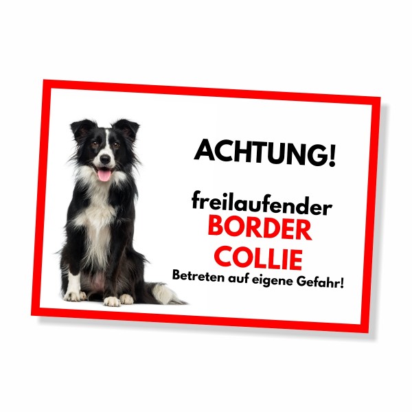 SchildFrei_BorderCollie_1